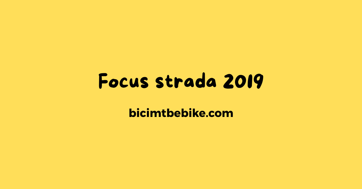 Cover Focus strada 2019