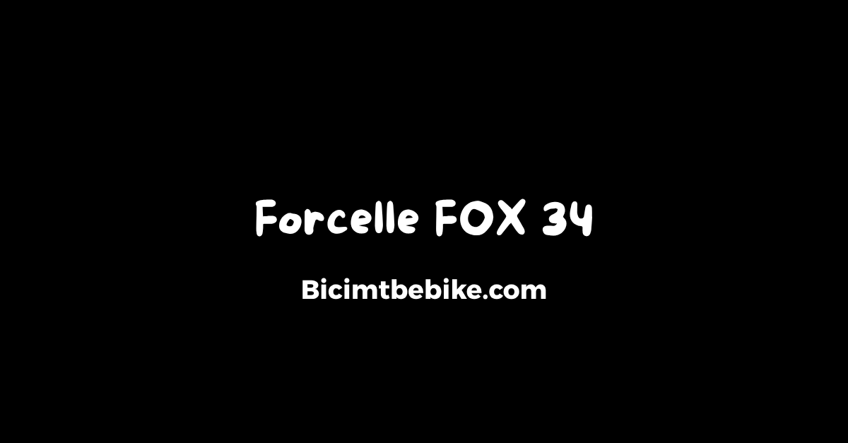 Forcelle Fox 34 cover