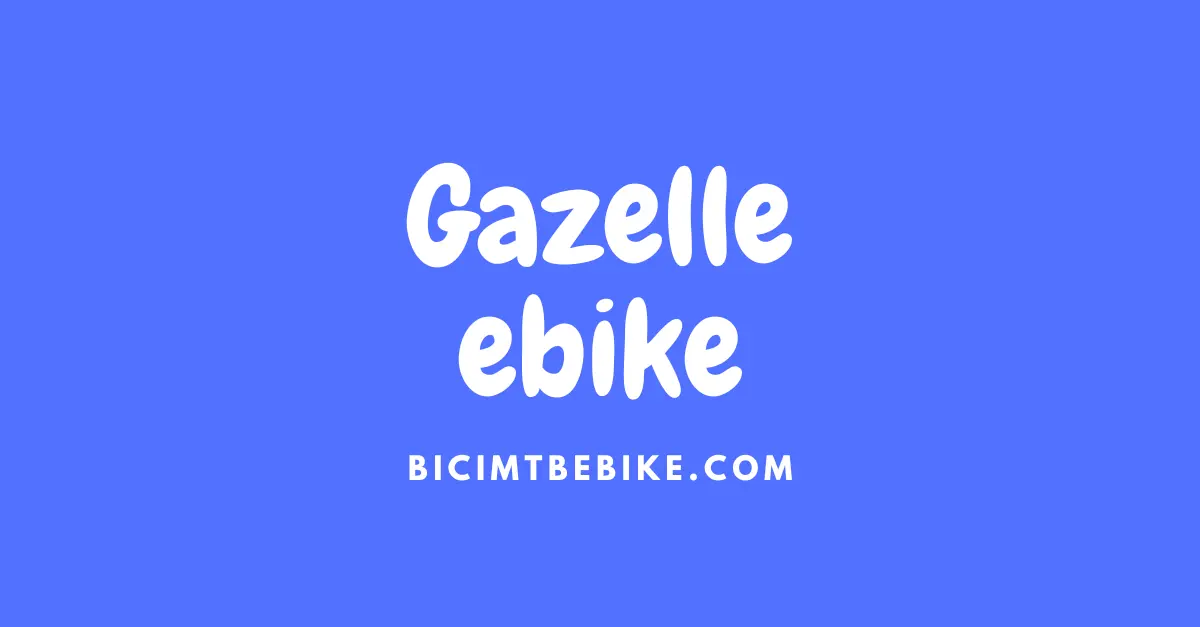 Gazelle ebike foto cover
