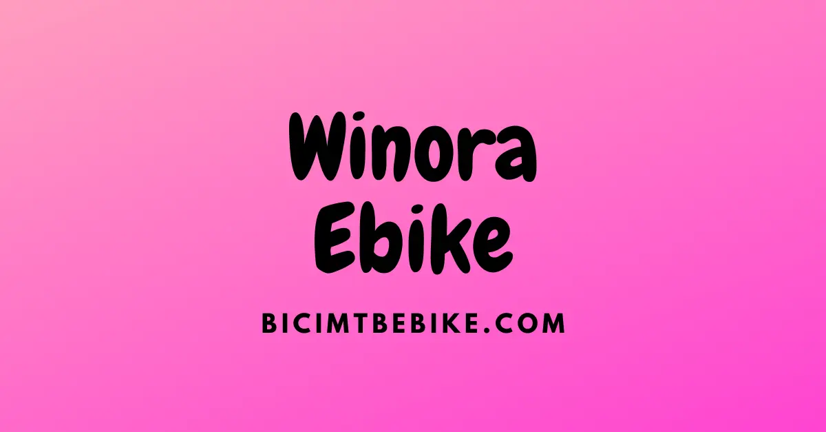 Winora ebike, foto di copertina