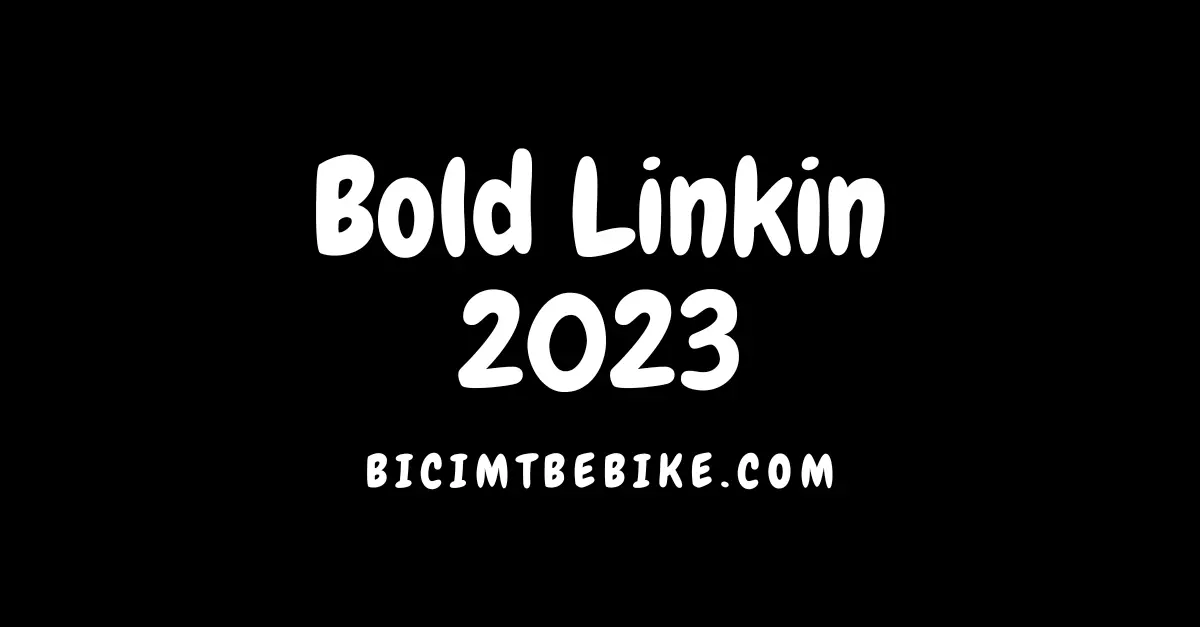 Foto cover del post sulle Bold Linkin 2023