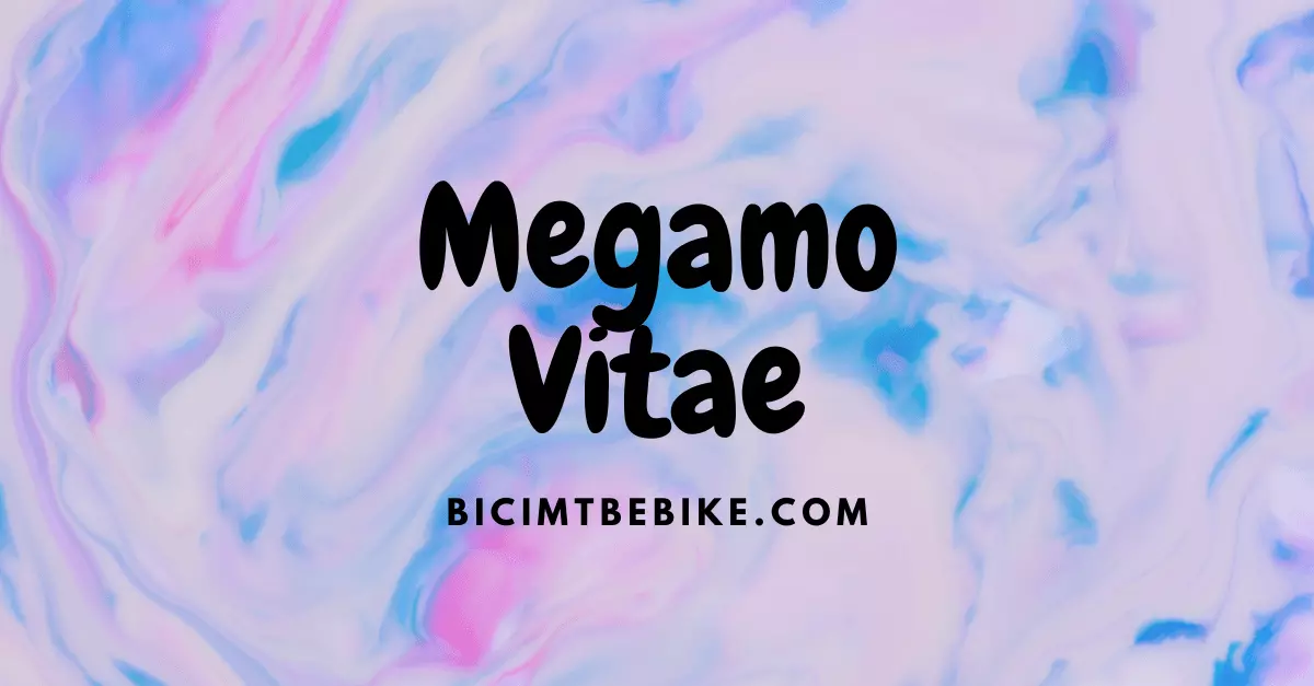 Foto cover post Megamo Vitae 2024