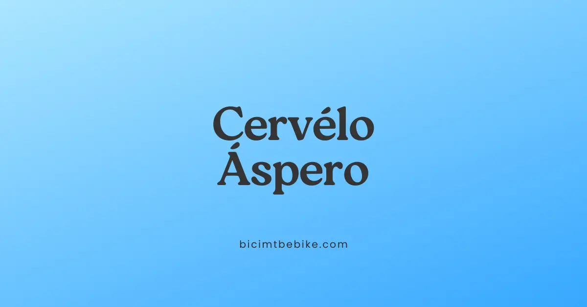 Cervélo Áspero foto cover